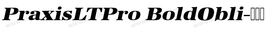 PraxisLTPro BoldObli字体转换